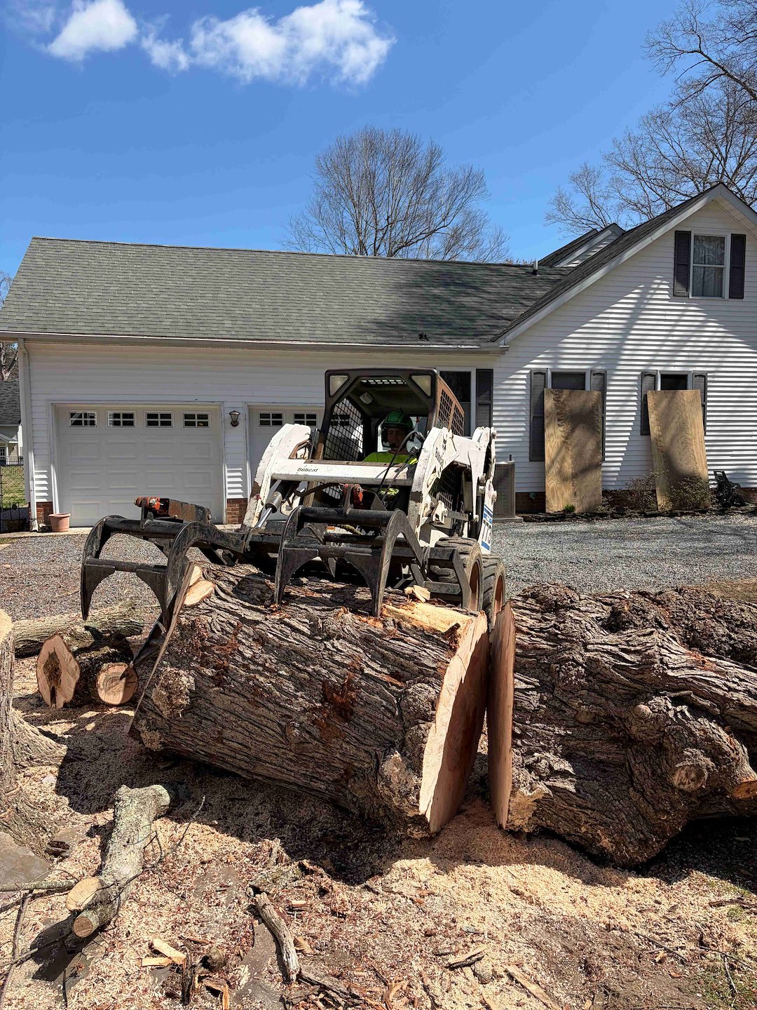 Tree Removals in Easton, MD